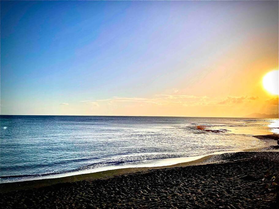 Moehani Beach Lodge 푸나우이아 외부 사진